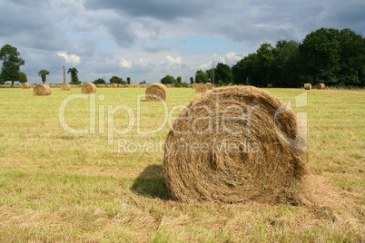 Round bale