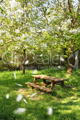 Spring picnic table