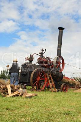 Vintage harvest