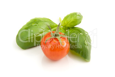 cocktail tomato basil