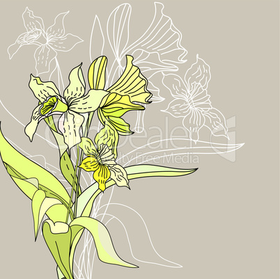 stylized narcissus flowers