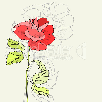 Greeting card with Rose flower