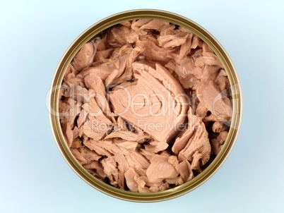 Canned Tuna