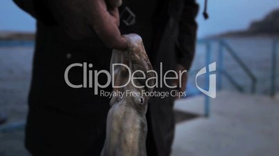Fisherman holding octopus in Sicily, Italy (sequence)