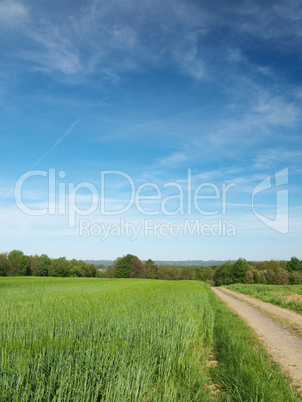 Countryside scene