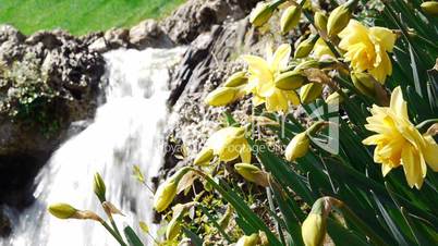 Waterfall with flowers.