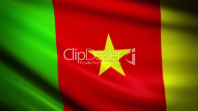 Waving Flag Cameroon Punchy