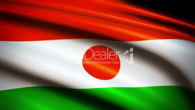 Waving Flag Niger Punchy