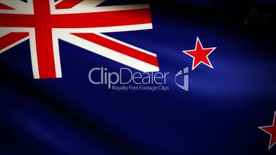 Waving Flag New Zealand Punchy