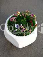 Flowerbed