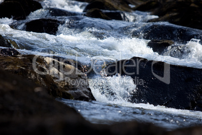 Cascading water