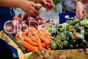 Gemüsemarkt - market stall for vegetable 02
