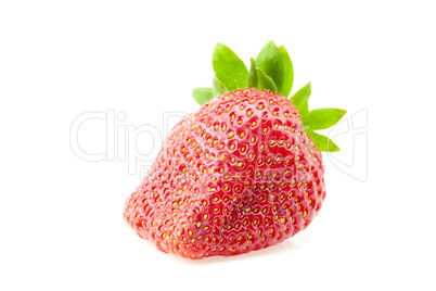 juicy strawberries isolated on white