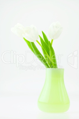 white tulips in a green vase