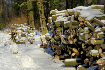 Holzstapel im Winter - stack of wood in winter 07