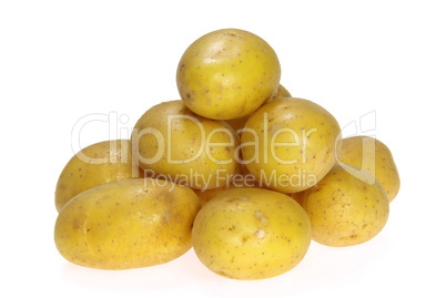 Kartoffel - potato 13