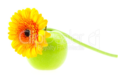 flower and apple isolated on white