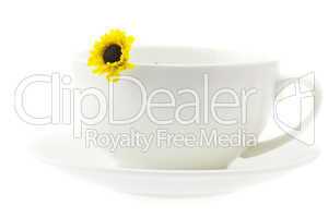 white cup and a flower isolated on white