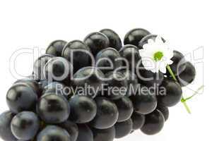bunch of grapes and a flower isolated on white
