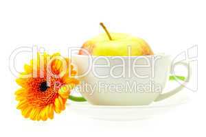 apple in a cup and a flower isolated on white