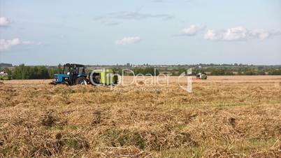 Wheat harvest season