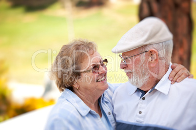 Happy Senior Couple in The Park