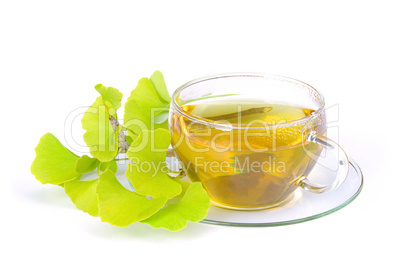 Tee Ginkgo - tea ginkgo 10