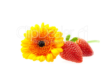 flower and strawberry isolated on white