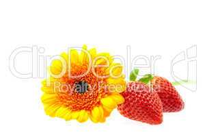 flower and strawberry isolated on white