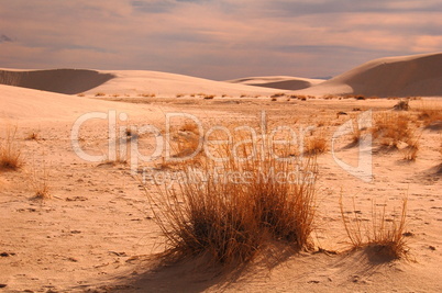 white sands 8070