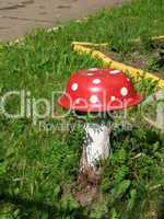Red unusual mushroom