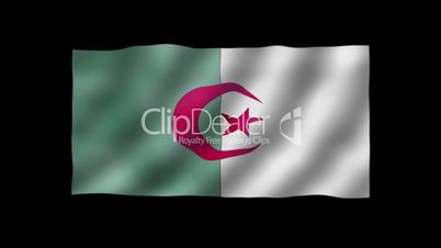 Algeria - waving flag detail