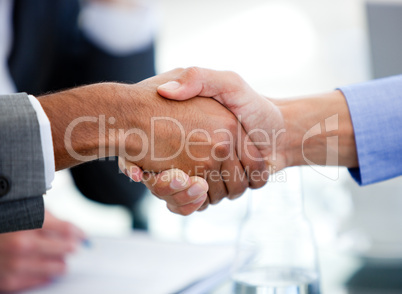 Close-up of business partners shaking hands