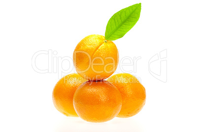 oranges with leaves