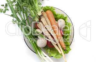 Plate of vegetables