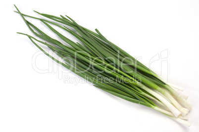 Spring onion