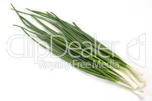 Spring onion