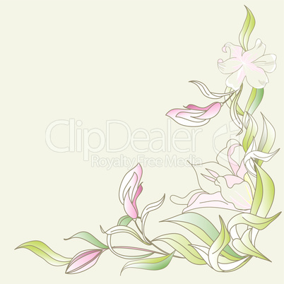 Romantic background with lily flowers