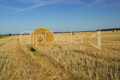 Strohballen - bale of straw 24