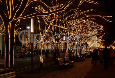 Berlin Unter den Linden Weihnachten - Berlin  Under The Linden Trees christmas 01