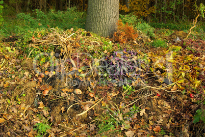 Komposthaufen - compost pile 10