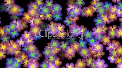 purple wild flower background,violet,flicker,Festivals,romance,romantic,bloom,lush,prosperous,welcome,creativity,creative,vj,beautiful,art,decorative,mind,Game,Led,neon lights,modern,stylish,dizziness,material,stage,music,joy,happiness,happy,young,loop,mo