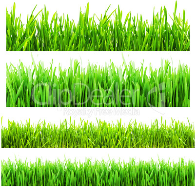 Grass