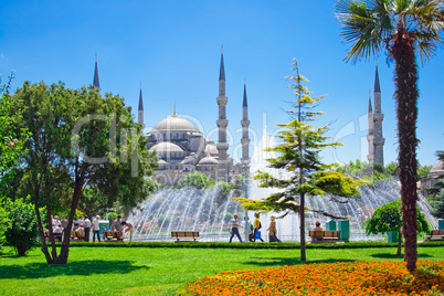 blue mosque