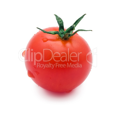 Tomato