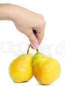 hand and two pear