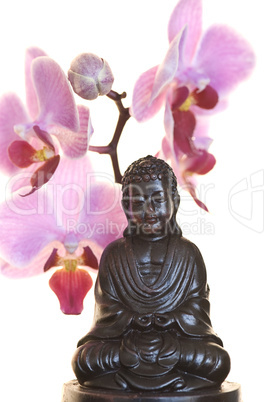 Buddha und Orchidee