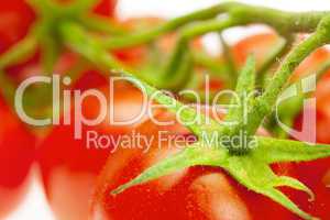 juicy tomatoes isolated on white