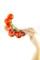 juicy tomatoes in hand isolated on white