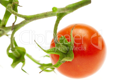 juicy tomato isolated on white